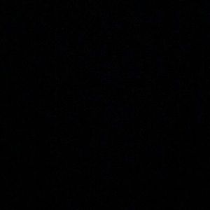 Meet your Posher, Gracie